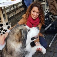 Andra Martinescu's Photo