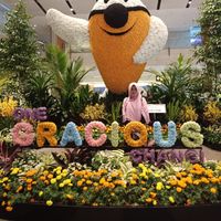 Nuning Rachmawati的照片