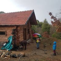 Zeynep Pekiner的照片