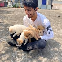 Amitesh Singh's Photo