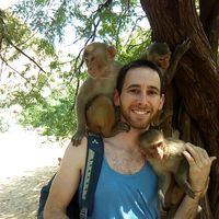 Alon Shomron's Photo