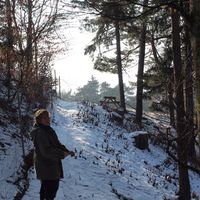 Brittany Menzies的照片