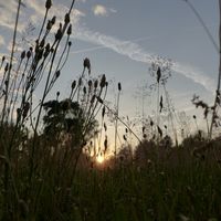 Marie Šantrochová's Photo