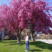 Diana  Pacheco的照片