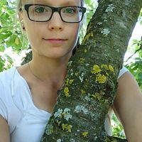 Denise Gauer的照片