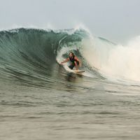 Terry Dorman's Photo