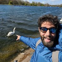 Martin Altman's Photo