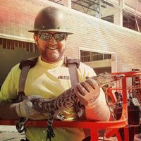 Zdjęcia użytkownika Casey Dinubilo