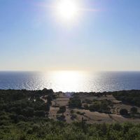 Gerry Silvelli的照片