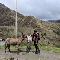 Adriella Seeber's Photo