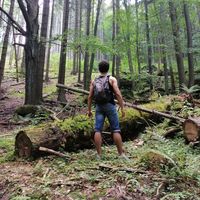 Mikolaj Lach's Photo