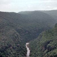 João Vitor Braga's Photo