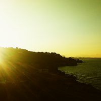 Will Gordon的照片