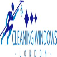 Cleaning Windows  London的照片