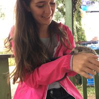 Ann-Kathrin Lauer's Photo