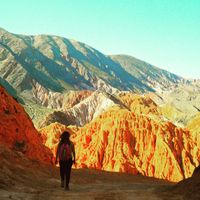 Nancy Falcon's Photo