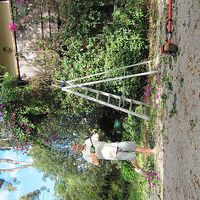 David Protzmann的照片