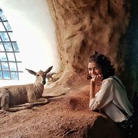 Mariam  Khattab's Photo