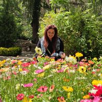 Mahshid Mohammadian的照片