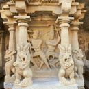 Kanchipuram Temple Trip 's picture