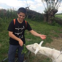 Le foto di Nassim Dib-Mudie