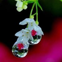 Anshu Ravita's Photo