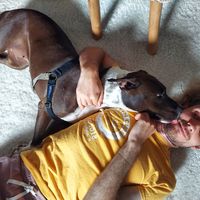 wolfgang gassmann's Photo