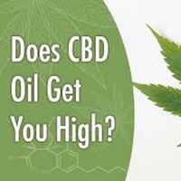 Le foto di swetha ratha