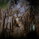 Maldevta Cave Hike - Stalactites & Stalagmites's picture