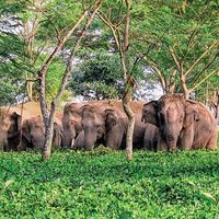 Le foto di Ravi Jain