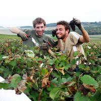 Fotos de Colin Lebrun