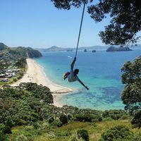 Henry  Chalk's Photo