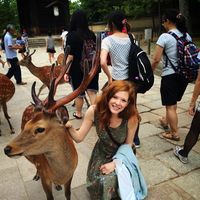 Fotos de Allie Snyder