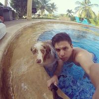 Daniel Torres的照片