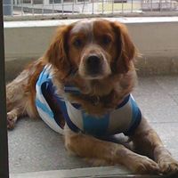 Photos de Juan Ignacio Simagona