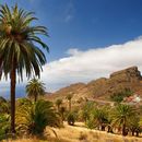 Gomera Trip's picture