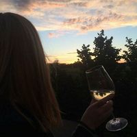 Samantha Zoppi的照片