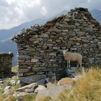 Miron Philipp's Photo