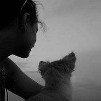 Nicole Struk的照片