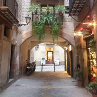 Maru Dubois的照片