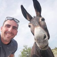 Photos de Rade Šimić