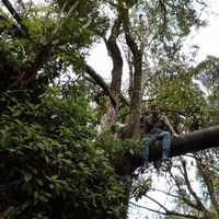 John Arango的照片