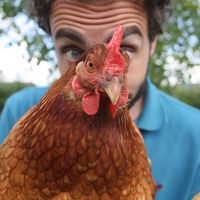 Sami Nabulsi的照片