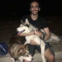 Mohamed Ibrahim's Photo