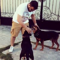 Fotos de Mohamed El Bendary