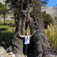 Elma Herrera's Photo