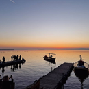 Go to Albufera (boat trip + beach)'s picture