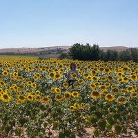 Camila Rolando's Photo