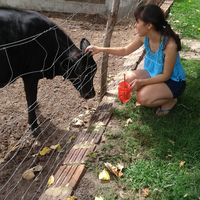 Angelica Trindade's Photo