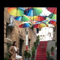 Photos de Gülcan Çifçi